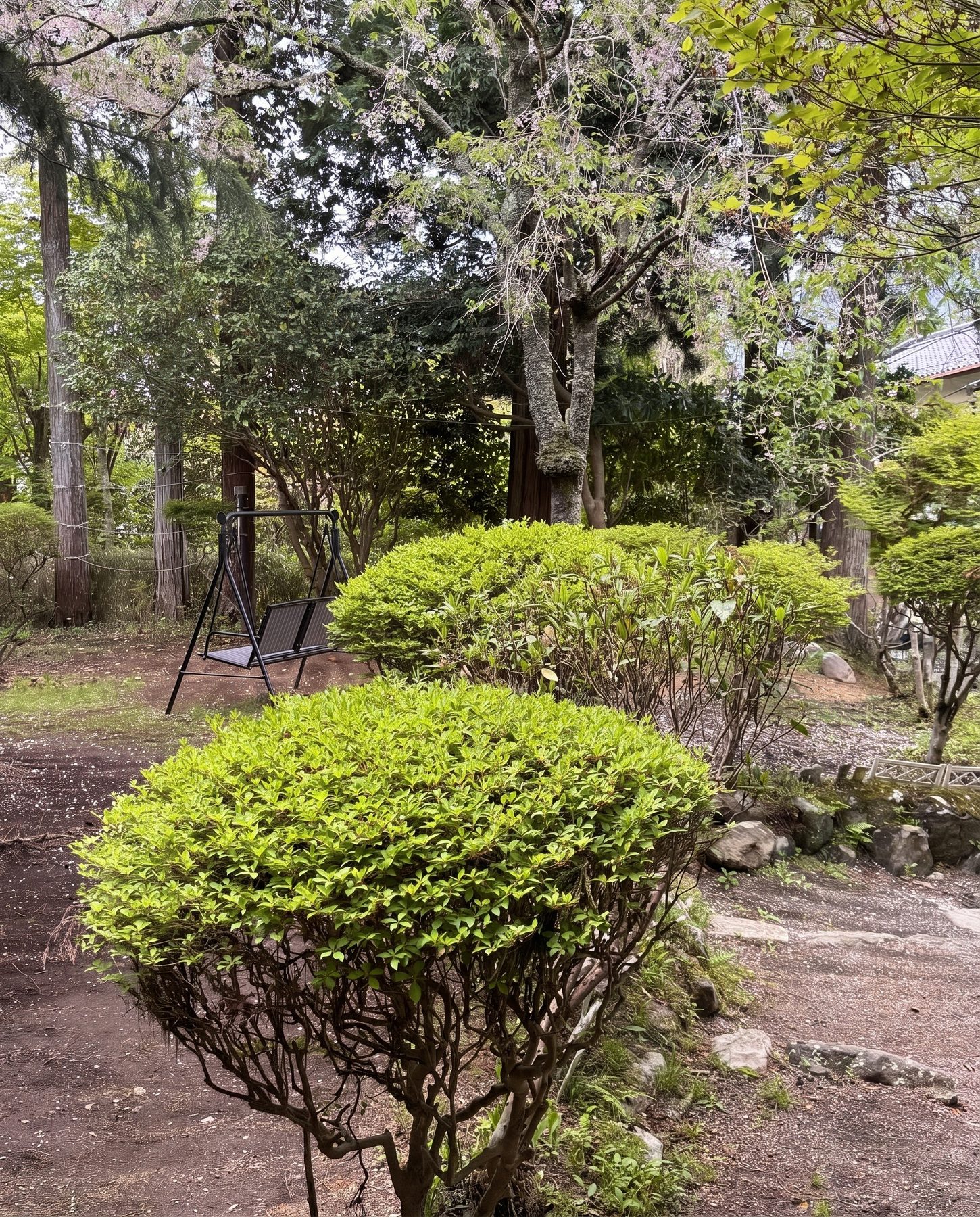 苔むす日本庭園